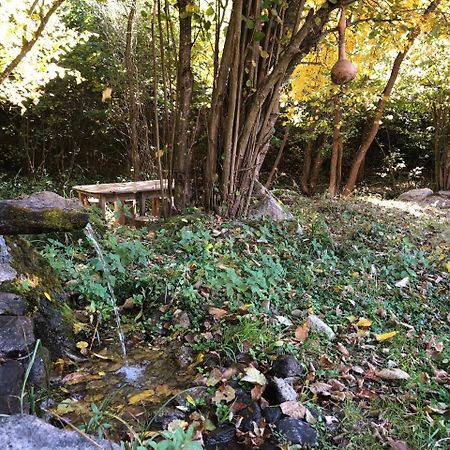 Vila Idila Crni Vrh Dış mekan fotoğraf
