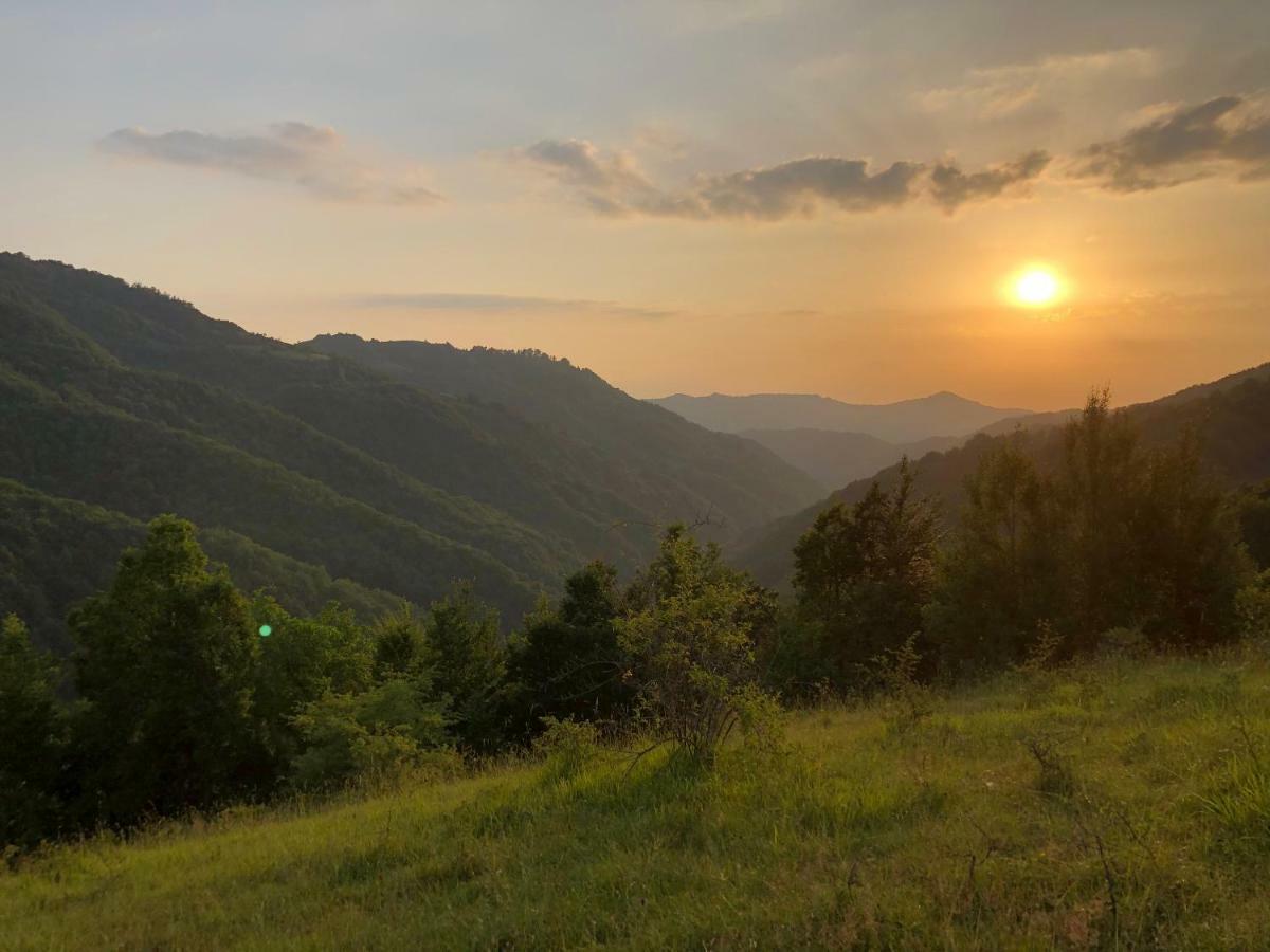 Vila Idila Crni Vrh Dış mekan fotoğraf